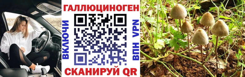 Галлюциногенные грибы MAGIC MUSHROOMS Козельск